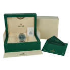 Rolex Datejust 126334 41mm Mint Green Dial *Like New* [ID15332]